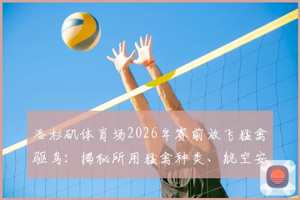 洛杉矶体育场2026年赛前放飞猛禽驱鸟：揭秘所用猛禽种类、航空安全保障措施及实际效果分析